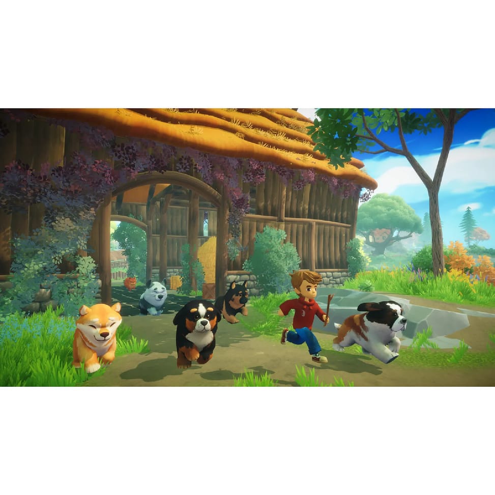 Everdream Valley Nintendo Switch — image 4