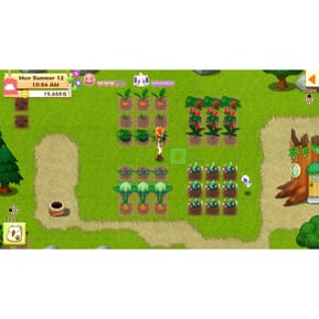 Harvest Moon - Lumiere SWITCH — image 2