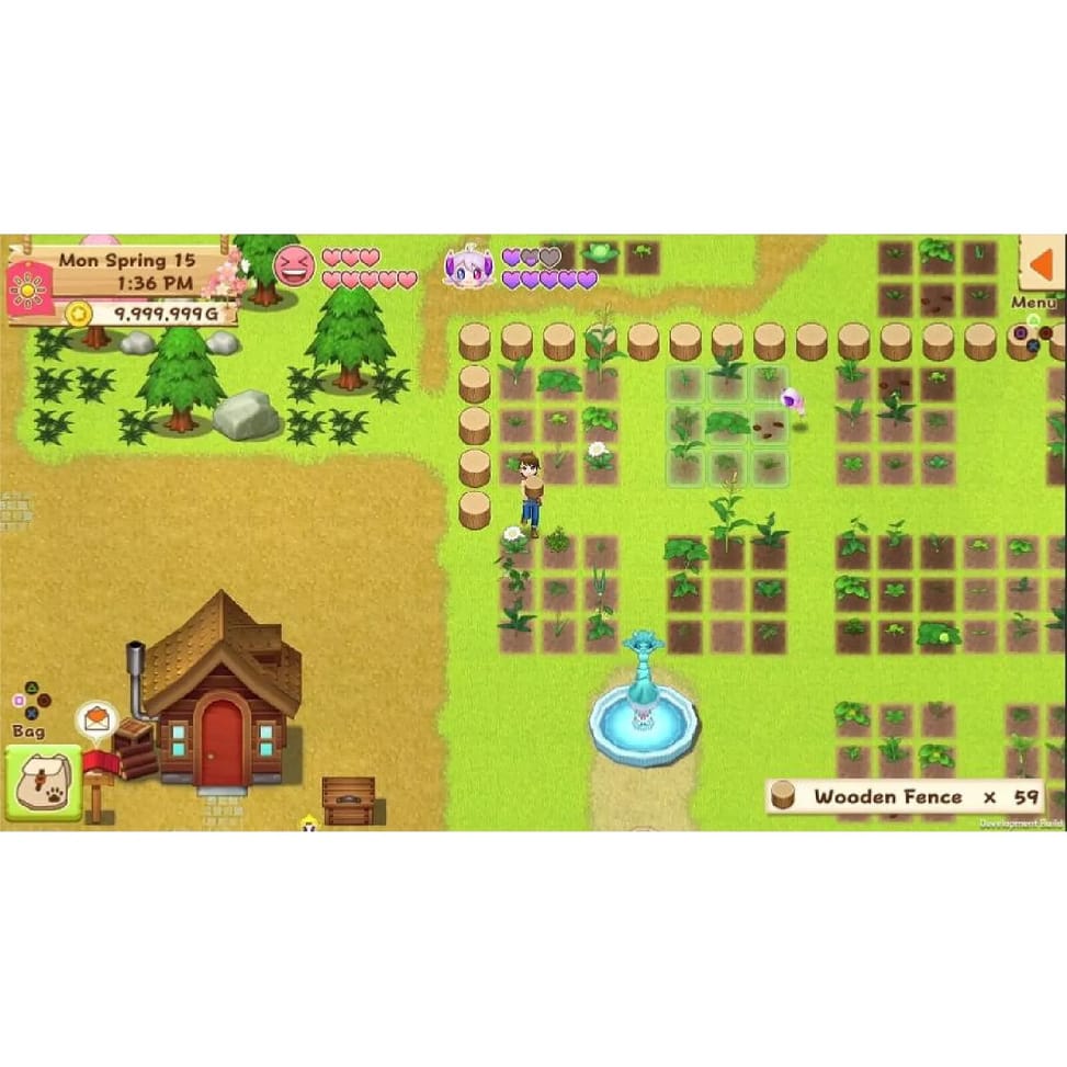 Harvest Moon - Lumiere SWITCH — image 3