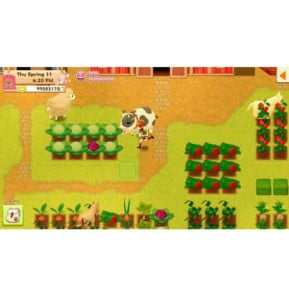 Harvest Moon Nintendo Switch