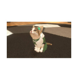 Little Friends Dogs and Cats SWITCH