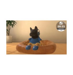 Little Friends Dogs and Cats SWITCH