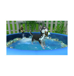 Little Friends Puppy Island Nintendo SWITCH + Bonus Bague de Téléphone