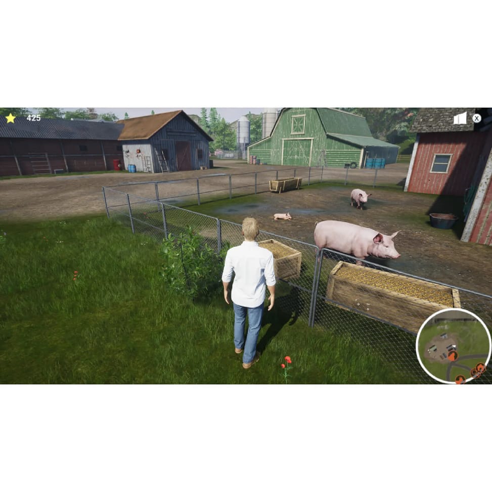 Ma Vie Vétérinaire à la Ferme Nintendo Switch — image 2