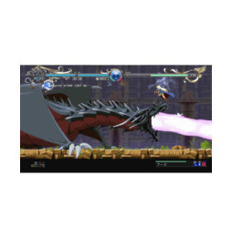 Record Of Lodoss War : Deedlit In Wonder Labyrinth SWITCH