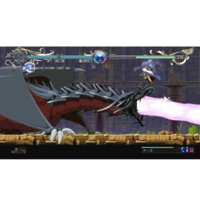Record Of Lodoss War : Deedlit In Wonder Labyrinth SWITCH