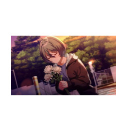 SINce Memories : Off the Starry Sky Nintendo SWITCH