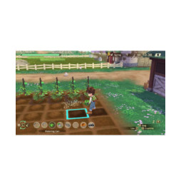 Story of Seasons: A Wonderful Life Nintendo SWITCH