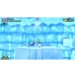 Wonder Boy Asha In Monster World SWITCH