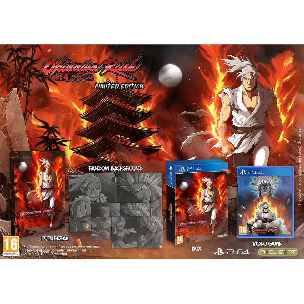 Okinawa Rush Edition Limitée FuturePak PS4 — image 4