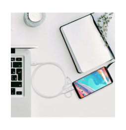 Akashi Câble Eco 3-en-1 USB-C vers USB-C / Lightning / micro USB (1 m)