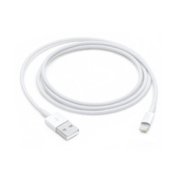 Apple Câble Lightning vers USB - 1 m (2024)