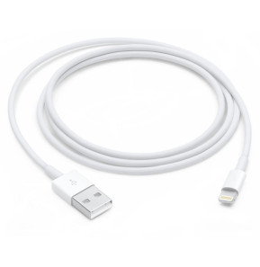 Apple Câble Lightning vers USB - 1 m (2024)