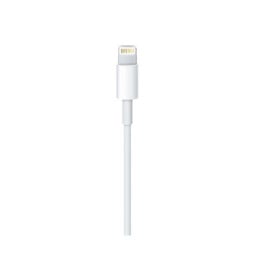 Apple Câble Lightning vers USB - 1 m (2024)
