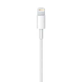 Apple Câble Lightning vers USB - 1 m (2024) — image 2