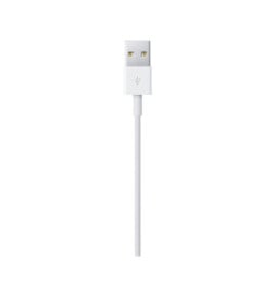 Apple Câble Lightning vers USB - 1 m (2024)