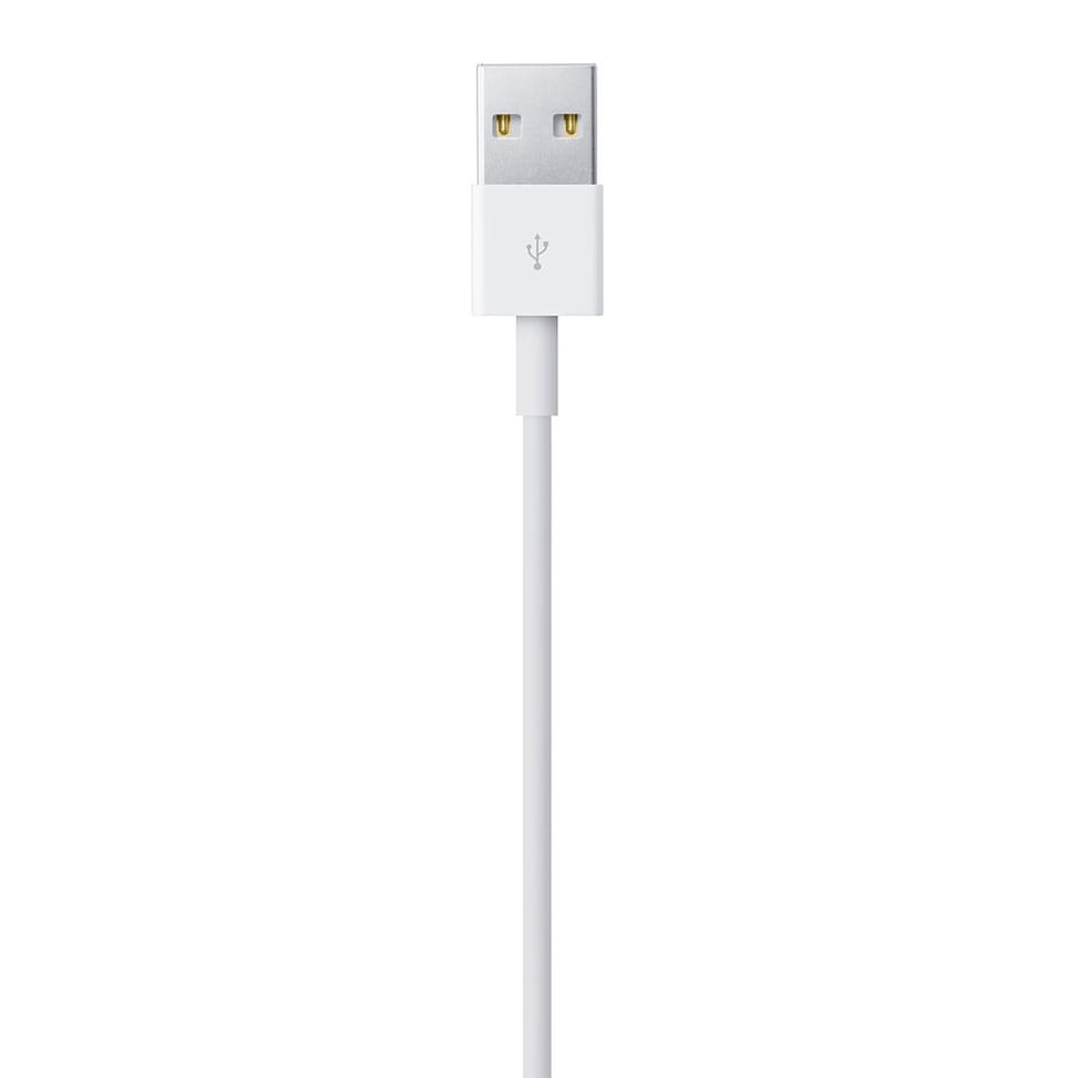 Apple Câble Lightning vers USB - 1 m (2024) — image 3