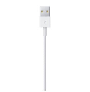 Apple Câble Lightning vers USB - 1 m (2024)