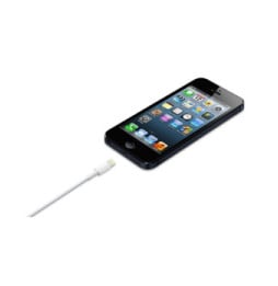 Apple Câble Lightning vers USB - 1 m (2024)