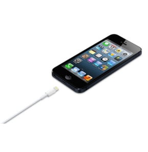 Apple Câble Lightning vers USB - 1 m (2024)