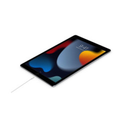 Apple Câble USB-C vers Lightning (2 m)