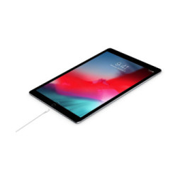 Apple Câble USB-C vers Lightning (2024) - 1 m