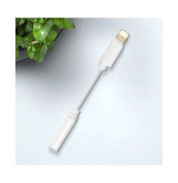 Avizar Adaptateur audio iPhone Lightning mâle vers Jack 3.5mm femelle Blanc