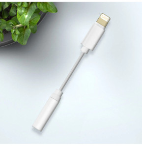 Avizar Adaptateur audio iPhone Lightning mâle vers Jack 3.5mm femelle Blanc