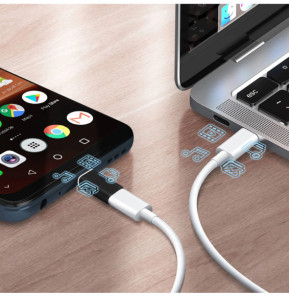 Avizar Adaptateur de charge Lighning femelle vers Micro-USB mâle Format Compact Noir