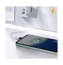 Avizar Adaptateur de charge Lighning femelle vers Micro-USB mâle Format Compact Noir