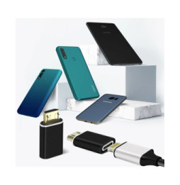 Avizar Adaptateur de charge Lighning femelle vers Micro-USB mâle Format Compact Noir