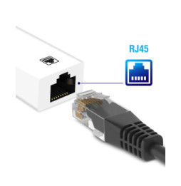 Avizar Adaptateur Ethernet RJ45 vers Lightning pour iPhone et iPad Débit 100 Mbps Blanc