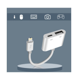 Avizar Adaptateur iPhone / iPad Lightning vers USB et Lightning Charge Compact Blanc