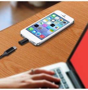 Avizar Adaptateur iPhone Lightning vers USB-C femelle Charge et Synchro - Noir
