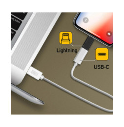 Avizar Adaptateur iPhone Lightning vers USB-C femelle Charge et Synchro - Noir
