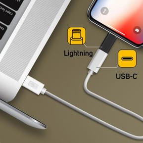 Avizar Adaptateur iPhone Lightning vers USB-C femelle Charge et Synchro - Noir — image 4