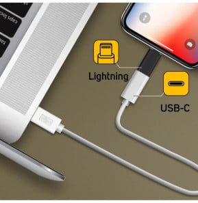 Avizar Adaptateur iPhone Lightning vers USB-C femelle Charge et Synchro - Noir
