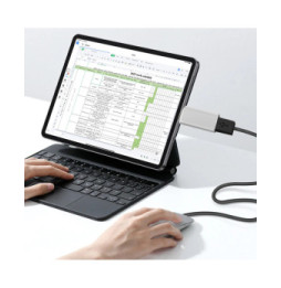 Avizar Adaptateur OTG USB Femelle vers USB-C Mâle Synchronisation Compact Argenté