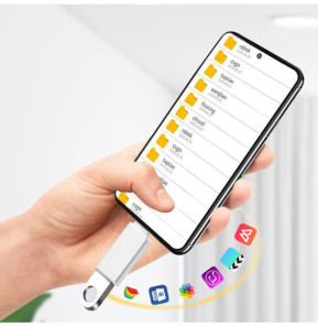 Avizar Adaptateur OTG USB Femelle vers USB-C Mâle Synchronisation Compact Argenté