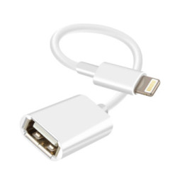 Avizar Adaptateur OTG USB vers Lightning Compact Portable 10cm Blanc