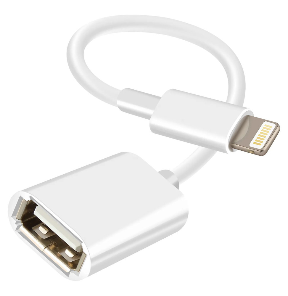Avizar Adaptateur OTG USB vers Lightning Compact Portable 10cm Blanc