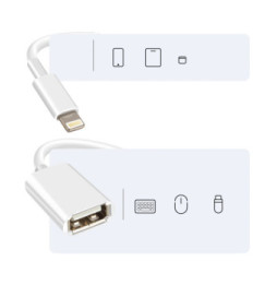 Avizar Adaptateur OTG USB vers Lightning Compact Portable 10cm Blanc