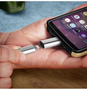 Avizar Adaptateur USB C mâle vers Lightning Femelle Charge et Synchronisation - Argenté