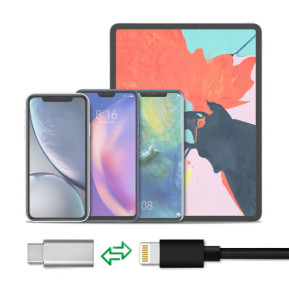 Avizar Adaptateur USB C mâle vers Lightning Femelle Charge et Synchronisation - Argenté
