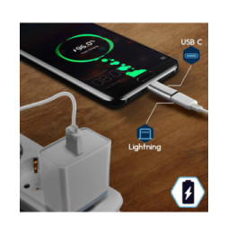 Avizar Adaptateur USB C mâle vers Lightning Femelle Charge et Synchronisation - Argenté