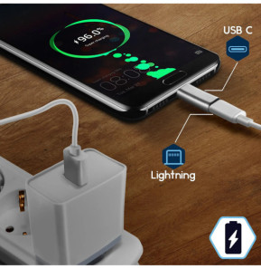 Avizar Adaptateur USB C mâle vers Lightning Femelle Charge et Synchronisation - Argenté