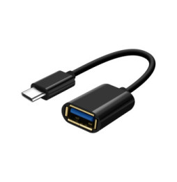 Avizar Adaptateur USB Femelle vers USB-C Mâle Connexion Fluide Compact Noir