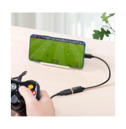 Avizar Adaptateur USB Femelle vers USB-C Mâle Connexion Fluide Compact Noir