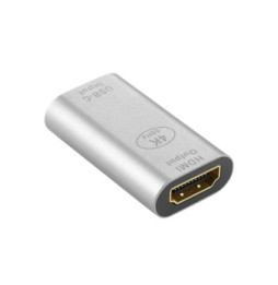 Avizar Adaptateur USB-C femelle vers HDMI femelle 4K Design Compact Argent