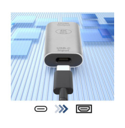 Avizar Adaptateur USB-C femelle vers HDMI femelle 4K Design Compact Argent